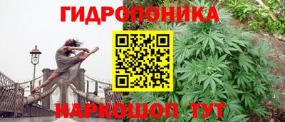 мяу мяу кристалл Можга