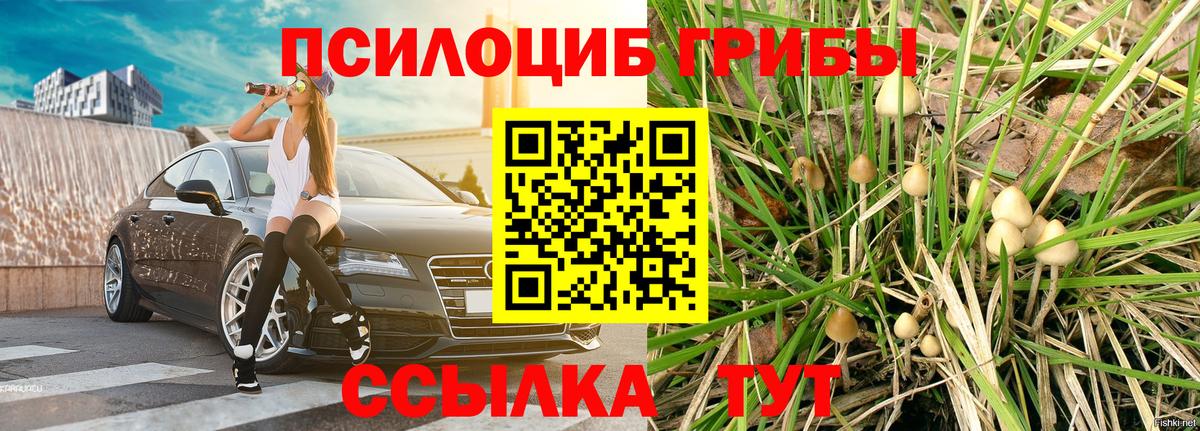 Псилоцибиновые грибы Cubensis  Вход с VPN  Острогожск 
